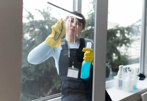 Nettoyage de vitres intérieures et extérieures à la Piarre